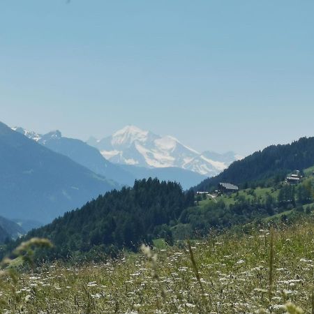 Haus Seiler Daire Goms Dış mekan fotoğraf